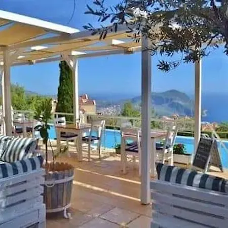 Belvedere, Lavanta, * Kalkan