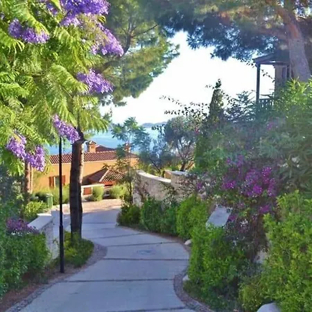 Belvedere, Lavanta, Apartment