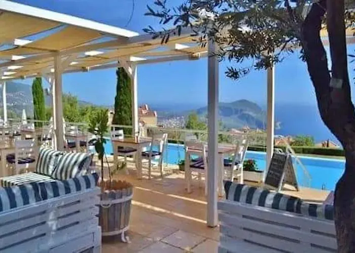 Belvedere, Lavanta, * Kalkan